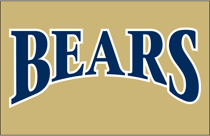 Northern Colorado Bears 2002-2005 Helmet Logo diy DTF decal sticker